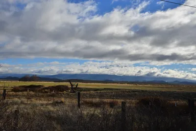 DSC_5878 (Large).JPG